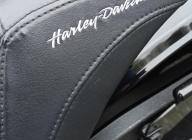 HARLEY-DAVIDSON HARLEY-DAVIDSON LOW RIDER S 1868